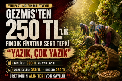 GEZMİŞ’TEN 250 TL’LİK FINDIK FİYATINA SERT TEPKİ: “YAZIK, ÇOK YAZIK”