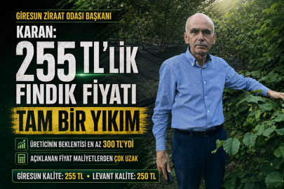 KARAN 255 TL’LİK FINDIK FİYATI TAM BİR YIKIM