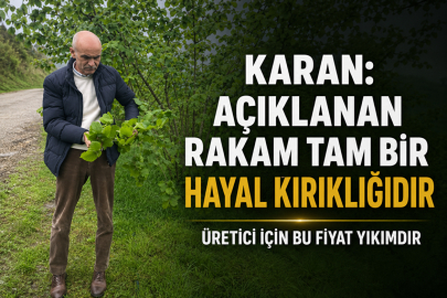 KARAN: “AÇIKLANAN RAKAM TAM BİR HAYAL KIRIKLIĞIDIR”