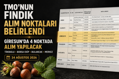 TMO’NUN FINDIK ALIM NOKTALARI BELİRLENDİ