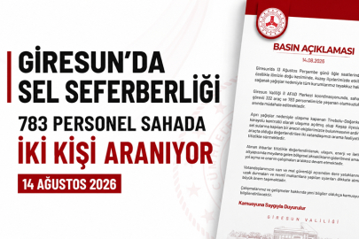 83 PERSONEL SAHADA, KAYIP DAYI İLE YEĞEN ARANIYOR