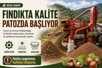 FINDIKTA PATOZ HATASI BİR YILLIK EMEĞİ BOZABİLİR