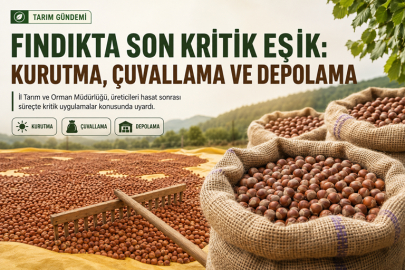 FINDIKTA SON KRİTİK EŞİK: KURUTMA, ÇUVALLAMA VE DEPOLAMA