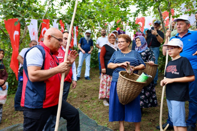 VALİ KOÇ FINDIK HASADINDA: ÜRETİCİNİN EMEĞİNE ORTAK OLDU