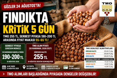 FINDIKTA KRİTİK 5 GÜN: GÖZLER 24 AĞUSTOS’TA