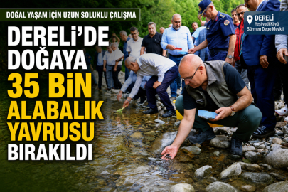 DERELİ’DE DOĞAYA 35 BİN ALABALIK YAVRUSU BIRAKILDI