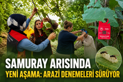 SAMURAY ARISINDA YENİ AŞAMA: ARAZİ DENEMELERİ SÜRÜYOR