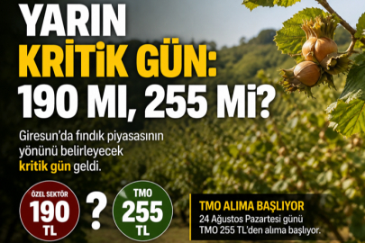 YARIN KRİTİK GÜN: 190 MI, 255 Mİ?