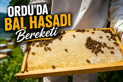 Ordu’da bal hasadı bereketi