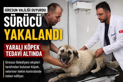 SULTANİYE’DEKİ KÖPEK OLAYINDA SÜRÜCÜ YAKALANDI: