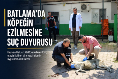 BATLAMA’DA KÖPEĞİN EZİLMESİNE SUÇ DUYURUSU: “EN AĞIR YASAL İŞLEM UYGULANSIN”