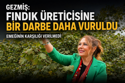 GEZMİŞ: “FINDIK ÜRETİCİSİNE BİR DARBE DAHA VURULDU”