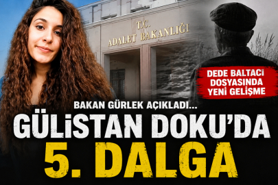 Bakan Gürlek açıkladı... Gülistan Doku'da 5. dalga... Dede Baltacı dosyasında yeni gelişme