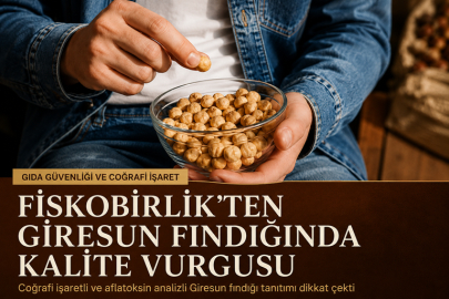 FİSKOBİRLİK GİRESUN FINDIĞINI KATMA DEĞERLİ MARKAYA