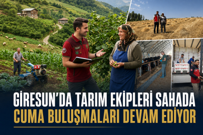 GİRESUN’DA TARIM EKİPLERİ ÜRETİCİYLE SAHADA BULUŞTU