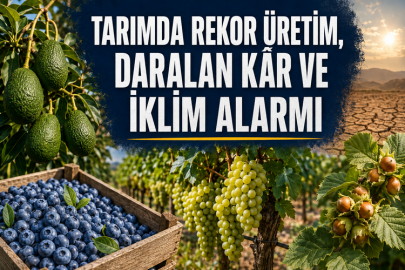 TARIMDA REKOR ÜRETİM, DARALAN KÂR VE İKLİM ALARMI