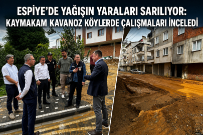 ESPİYE’DE YAĞIŞIN YARALARI SARILIYOR: