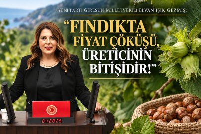 IŞIK GEZMİŞ: “FINDIKTA FİYAT ÇÖKÜŞÜ, ÜRETİCİNİN BİTİŞİDİR!”