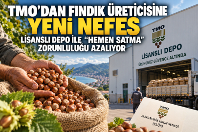 TMO’DAN FINDIK ÜRETİCİSİNE YENİ NEFES: LİSANSLI DEPO