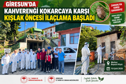 GİRESUN’DA KAHVERENGİ KOKARCAYA KARŞI KIŞLAK ÖNCESİ İLAÇLAMA BAŞLADI