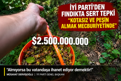 FINDIKTA SERT ÇIKIŞ: “KOTASIZ VE PEŞİN ALMAK MECBURİYETİNDE”