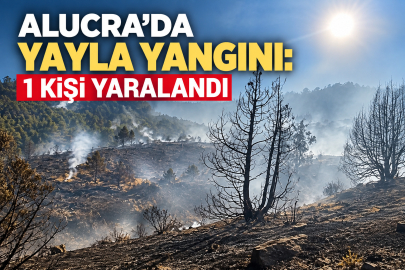 ALUCRA’DA YAYLADA ÇIKAN ÖRTÜ YANGININDA 1 KİŞİ YARALANDI