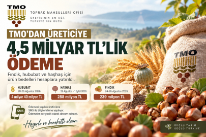TMO’DAN FINDIK ÜRETİCİSİNE İLK ÖDEME: 239 MİLYON TL