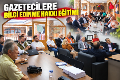 ​​​​​​​KAMUDAN BİLGİ ALMANIN YOLLARI GİRESUN’DA MASAYA YATIRILDI