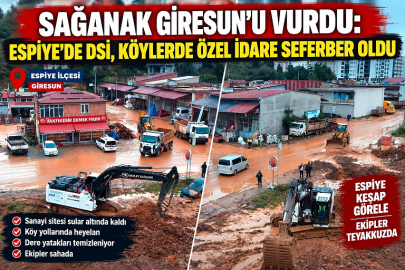 ESPİYE’DE DSİ, KÖYLERDE ÖZEL İDARE SEFERBER OLDU