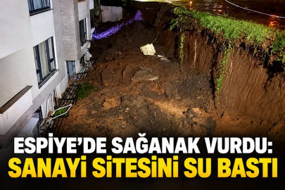 ESPİYE’DE SAĞANAK VURDU: SANAYİ SİTESİNİ SU BASTI