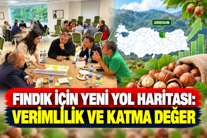 FINDIK İÇİN YENİ YOL HARİTASI: VERİMLİLİK VE KATMA DEĞER