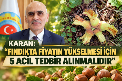 KARAN: “FINDIKTA FİYATIN YÜKSELMESİ İÇİN 5 ACİL TEDBİR ALINMALIDIR”