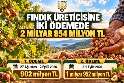 FINDIK ÜRETİCİSİNE İKİ ÖDEMEDE 2 MİLYAR 854 MİLYON TL