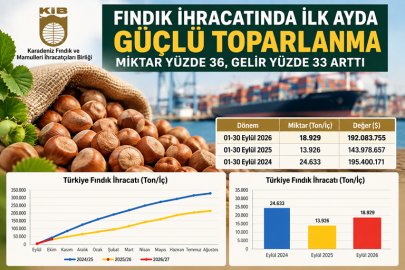 FINDIK İHRACATINDA İLK AYDA GÜÇLÜ TOPARLANMA: