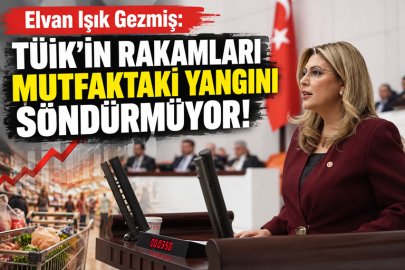 TÜİK’İN RAKAMLARI MUTFAKTAKİ YANGINI SÖNDÜRMÜYOR!