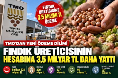 FINDIK ÜRETİCİSİNİN HESABINA 3,5 MİLYAR TL DAHA YATTI