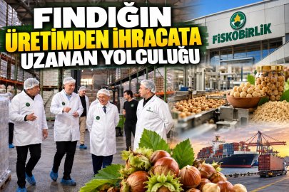 FINDIĞIN ÜRETİMDEN İHRACATA UZANAN YOLCULUĞU