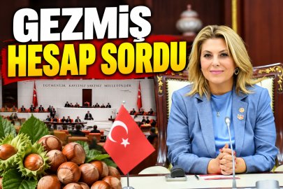 GEZMİŞ HESAP SORDU