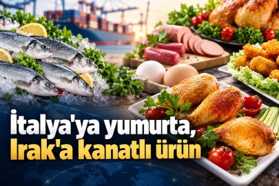İtalya'ya yumurta, Irak'a kanatlı ürün