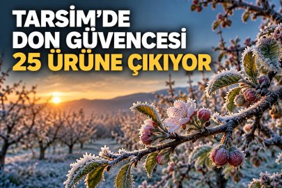 TARSİM'DEN ÜRETİCİYE MÜJDE: 2027'DE DON GÜVENCESİ 25 ÜRÜNE GENİŞLİYOR