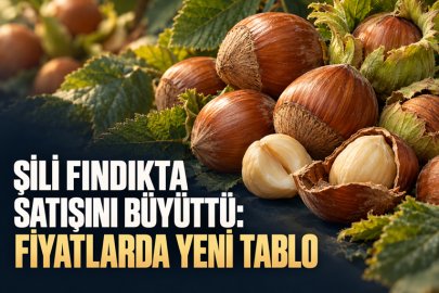 ŞİLİ FINDIKTA SATIŞINI BÜYÜTTÜ: FİYATLARDA YENİ TABLO