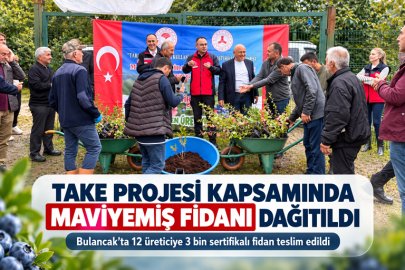 GİRESUN’DA MAVİYEMİŞTE YENİ EŞİK: 70 BİN FİDAN, 282 DEKAR