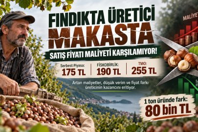 FINDIKTA ÜRETİCİ MAKASTA