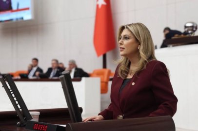 Gezmiş'ten Meclis'te Atama Çağrısı: Binlerce Eczacı ve Diş Hekimi İş Bekliyor