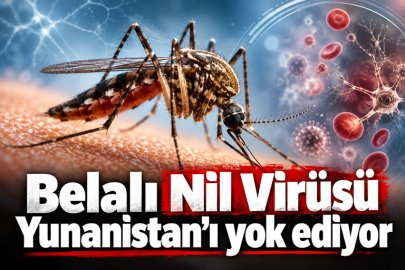 Belalı Nil Virüsü Yunanistan’ı yok ediyor