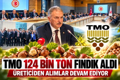 TMO 124 BİN TON FINDIK ALDI: ÜRETİCİDEN ALIMLAR DEVAM EDİYOR