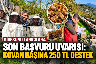 GİRESUNLU ARICILARA SON BAŞVURU UYARISI: KOVAN BAŞINA 250 TL DESTEK