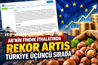 AVRUPA FINDIK PAZARINDA DENGELER DEĞİŞTİ: TÜRKİYE İTHALAT DEĞERİNDE ÜÇÜNCÜ SIRADA