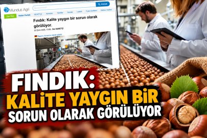 TÜRK FINDIĞINDA KALİTE ALARMI: ULUSLARARASI PİYASADAN FİYAT UYARISI